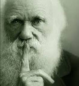 CMIfan's profile picture. We are fans of the Question Evolution! Campaign which was initiated by Creation Ministries International.