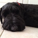 Michael Ek - @m_ermak - Twitter