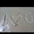 snow_mindy's profile image