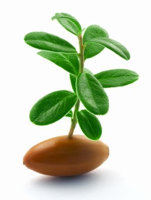 StartupNews1's profile picture. News about Startup and Techo! Follow back!