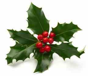 A Christmas carol lyric every day.  To get you excited for  the festive season.
