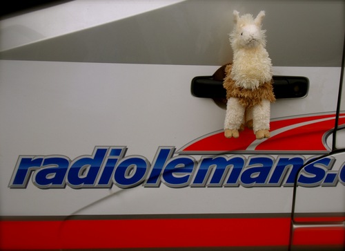 ONLY Official llama of Radio Le Mans, serving as Weather reporter. Likes: alfalfa, bourbon, Ferrari, & spitting. Dislikes: cold, Newcastle, & alpacas.