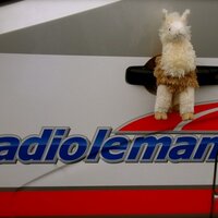 Dolly Z. Llama™ (@dollyzllama) 's Twitter Profile