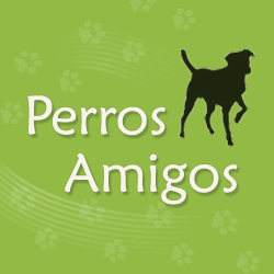 PerrosAmigos: Una comunidad para los amantes de los perros.