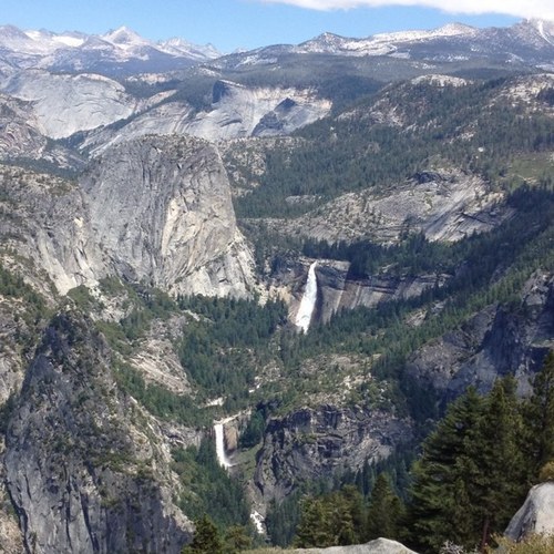 srich1234's profile picture. 