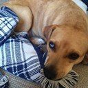 Leslie Wicker - @LeslieWicker - Twitter