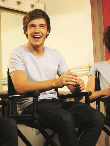 Liam Payne, i love your love for fans, your never ending ability to make me smile, and that 1,2,3, Flick :)