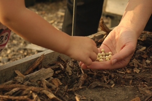 Schoolyard greener, conservationist, mother, trail runner, baker, gardener. But not necessarily in that order.