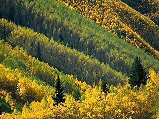 Our Public Lands offer breathtaking views, family friendly activities and billions of dollars to local economies. Speak up to protect these areas.