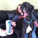 Cory McGhee - @mcghee1911 - Twitter