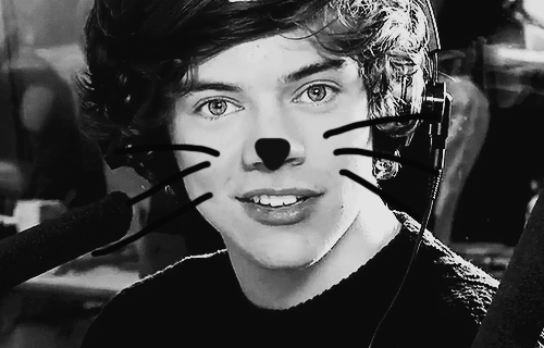 Two loving and devoted directioners♥  #1dfacts #directioners #teamfollowback harry, harry give me some of your gravy!♥