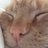 hughan74's profile image