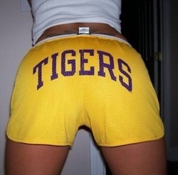 I am a sucker for hot girls sporting their favorite college team's gear. Use #GamedayGirls or #CFBGamedayGirls