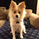 Madden John Beckmann - @LiLmaddenDoG - Twitter