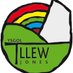 Ysgol T Llew Jones (@ysgoltllewjones) Twitter profile photo