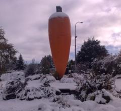 Ohakune. With the size of our carrots we have the best ski bunnies.