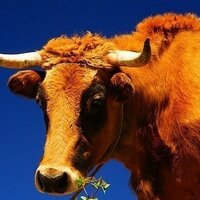 James (@jamesphillip96) 's Twitter Profile