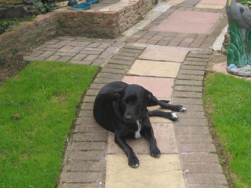 DavidBurston1's profile picture. 