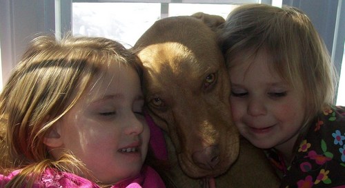Mommy of 2 Beautiful Girls, Kindergarten Teacher, Learner for Life, Pittsburgh Steeler Fan
