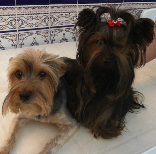 biancab2000's profile picture. 