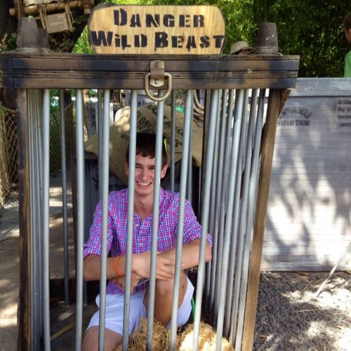 am_dee_p's profile picture. 