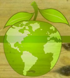 Guiding you through all the ins and outs, trials and tribulations of composting.