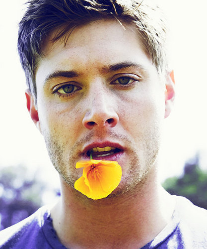 Michael, the Archangel in his true vessel. Dean, the hunter whenever Michael's not on earth. Always with my girl @BodhiBarnes. (RP/18+MC/AU)