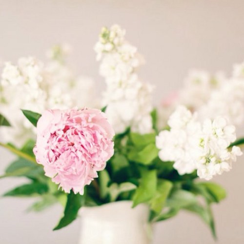 smith_baxter's profile picture. 