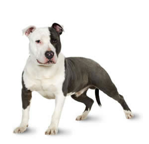 Hannahdoyle1D's profile picture. 