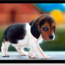 walter prado - @waltzki_73 - Twitter