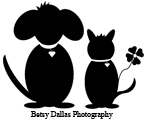 Lifestyle Pet Photograhy, Dog Sport Photography & Fine Art Photography