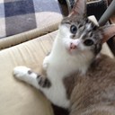 Kate Carver - @falconkc34 - Twitter