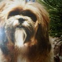 Geoff Jackson - @geoff81659 - Twitter