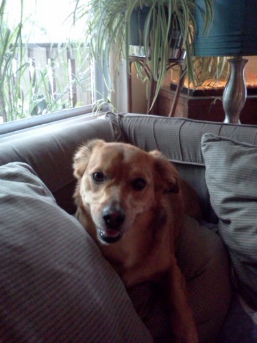 libbybarnes24's profile picture. 