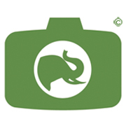 I was a volunteer at a zoo and LOVED IT!! 
Now I teach photo tricks to amateur photographers, so they enjoy more their zoo visits.