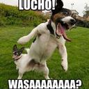 juan manuel olmedo - @juanmanuelolmed - Twitter