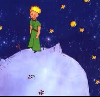 Suisprest's profile picture. Compassion, humanity, common sense, interdependence of all life. Protect the planet. Born on Woiwurrung country, raised on Dja Dja Wurrung country. She/her.