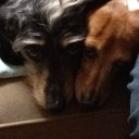 Trevor solomon - @TrevorSolomon - Twitter