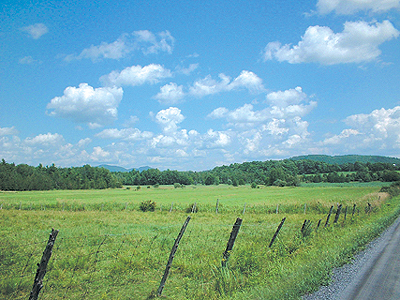 UpaBromeMissisq's profile picture. Nous représentons les 1441 producteurs et productrices agricole de la MRC Brome-Missisquoi.