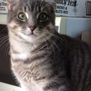 Chris Lett - @lett_chris - Twitter