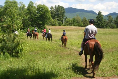 Promoting the area's tourist industry. Come ride with us ! #adirondacks #equestrian #horses http://t.co/Sk4CPDdgnb