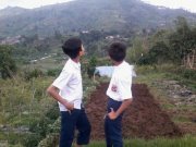 follback just mention