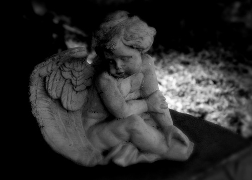 jasohe68's profile picture. Neminem laede, immo omnes, quantum potes, juva.