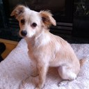 Jennifer Yao - @JenKYao - Twitter