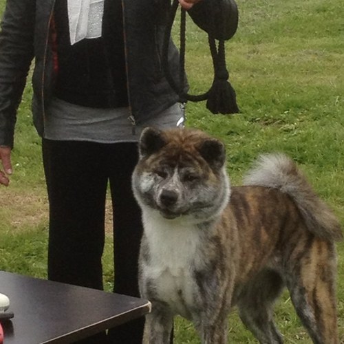 0660227771Sly's profile picture. 