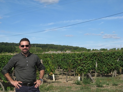 wine importer, WSET 3, wine tours & wine events