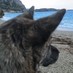 eme (@eme_jena) Twitter profile photo eme (@eme_jena) Twitter profile photo