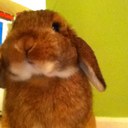 sonny cox - @sonnytherabbit - Twitter