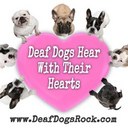 sarah white - @PegWhite666 - Twitter