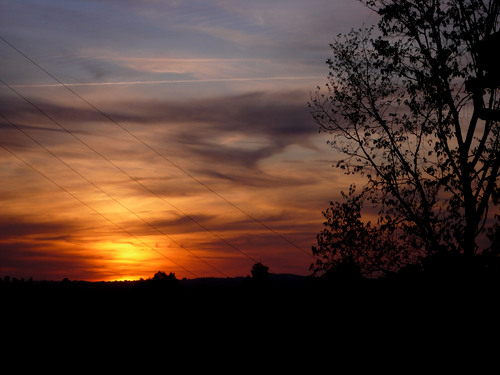 JADRE59's profile picture. 